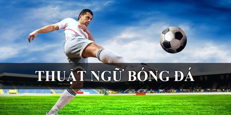 Tổng hợp Tổng hợp các thuật ngữ bóng đá phổ biến nhất