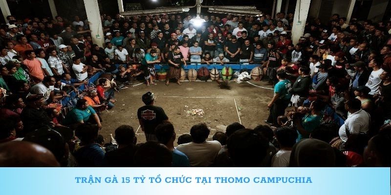 Trận gà 15 tỷ tổ chức tại Thomo Campuchia