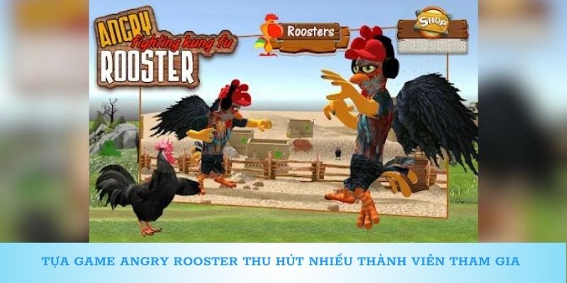 Tựa game Angry Rooster thu hút nhiều thành viên tham gia